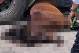 El caballo quedó tirado debajo del camión de carga tras el fuerte impacto. FOTO: TOMADA DE IG CONEXIÓN ORIENTE