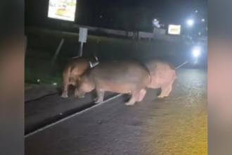 La situación ha generado preocupación. FOTO: COLOMBIA OSCURA