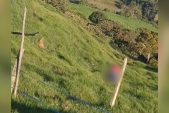 Momento de la agresión quedó captado en vídeo. FOTO: CAPTURA DE VIDEO
