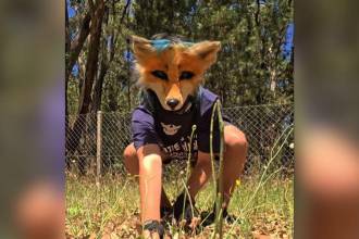 No es un fenómeno reciente, pero suena fuerte en las redes sociales. FOTO: CAPTURA DE TIKTOK @FOX_COR