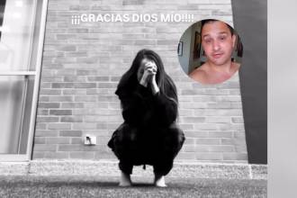 “Gracias, Dios mío”, dijo la modelo al enterarse de la noticia. /FOTO: CAPTURA DE VIDEO