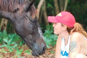 Aunque el plan era adoptar solamente una yegua, decidieron darle la oportunidad también a Orión, un macho con historial de maltrato. FOTO: CORTESÍA