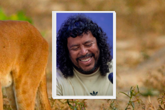 El exarquero escribió en redes sociales sobre el caso y la entidad departamental se encargó del hecho. / FOTO: CORANTIOQUIA Y ESNEYDER GUTIÉRREZ