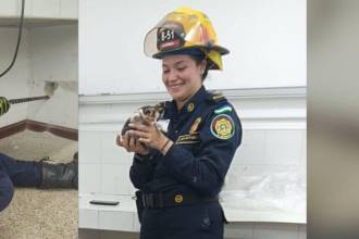 La gata llevaba tres días atrapada en el conducto. FOTOS: FACEBOOK BOMBEROS LA ESTRELLA