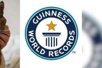 La gata más longeva del mundo cumplió 30 años. FOTO: REDES SOCIALES