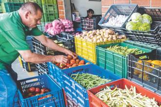 Si bien la mayoría de los alimentos continúan llegando con regularidad, hay alerta porque el calor va a continuar. FOTO: ARCHIVO - JAIME PÉREZ MUNÉVAR