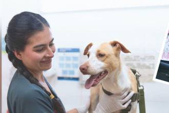 Laura Durango, veterinaria del Centro de Bienestar La Perla, fue la encargada de seguir el caso de Analí, y ahora son inseparables. FOTO: CORTESÍA ALCALDÍA DE MEDELLÍN