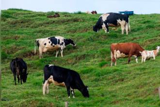 Imagen para ilustrar la nota. /FOTO: CAMILO SUÁREZ. 