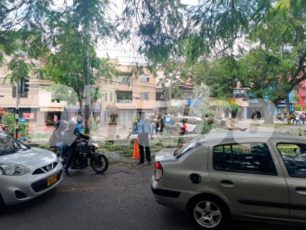 /FOTO: ALEJANDRA MORALES