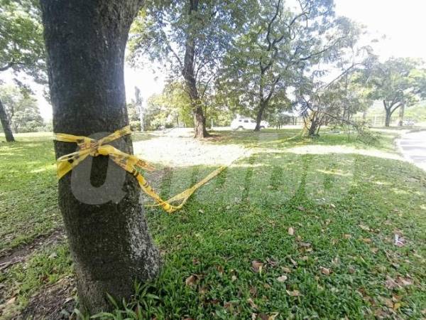 Sitio donde ocurrieron los hechos. /FOTO: ALEJANDRA MORALES