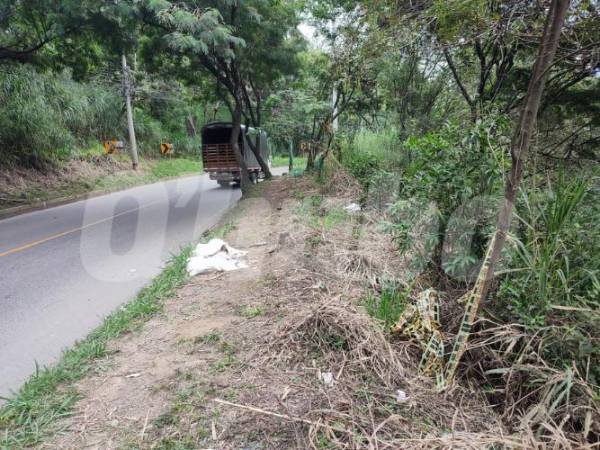 En este sitio fue donde encontraron el cuerpo sin vida en Machado. FOTO: ANDRÉS GARCÍA