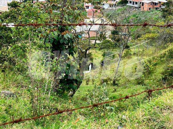 El cuerpo de Agudelo Gañán lo abandonaron a 30 metros de la vía Medellín - San Pedro de Los Milagros. /FOTO: ANDRÉS FELIPE OSORIO GARCÍA