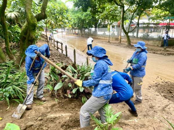 Así quedó la zona de El Poblado tras el aguacero de la semana pasada. FOTO: ALCALDÍA DE MEDELLÍN