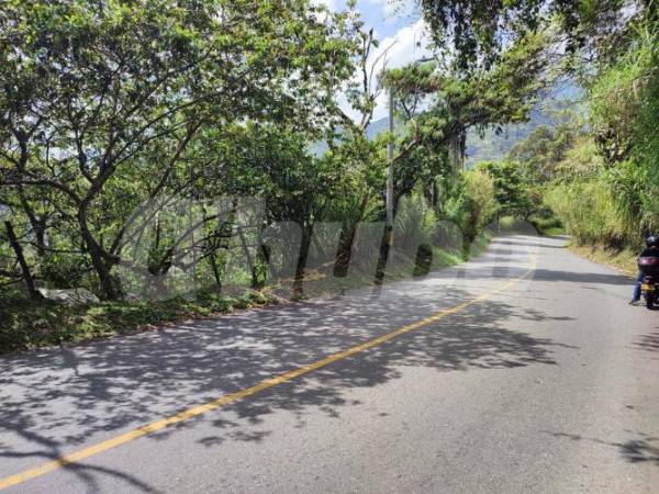 En esta vía fue hallado el cadáver. FOTO: ANDRÉS GARCÍA 