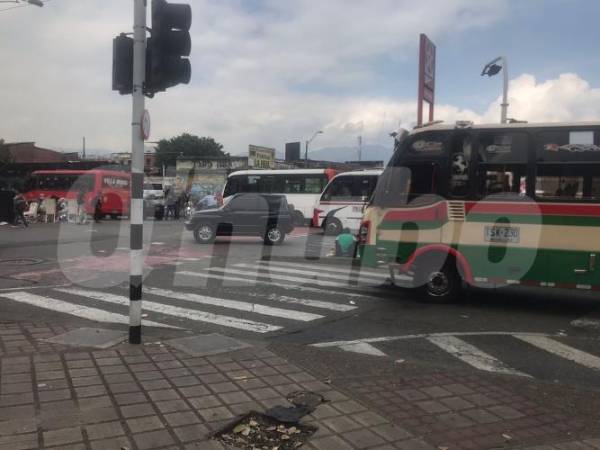 En esta cebra habría iniciado la discusión que terminó en ataque con arma blanca. FOTO: LAURA ROSA JIMÉNEZ VALENCIA