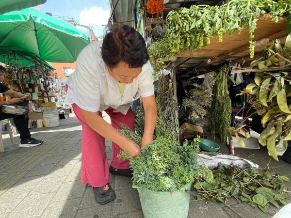 Vendedora de plantas medicinales en el centro de Medellín. / FOTO: JAIDER ESCOBAR