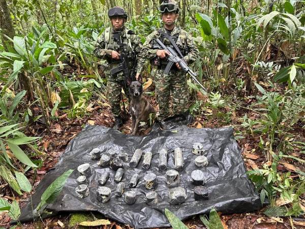 FOTO: COLPRENSA