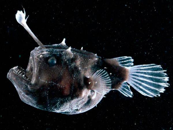 / FOTO: animalfreakness