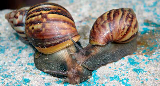 /FOTO: ARCHIVO - COLPRENSA