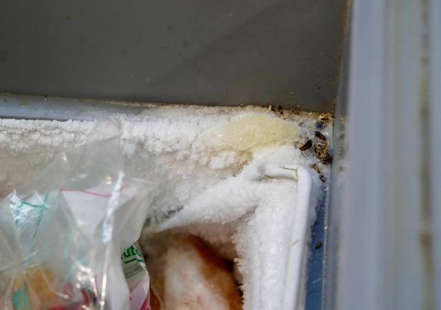 En el lugar había insectos y alimentos vencidos. FOTO: ALCALDÍA DE ITAGÜÍ