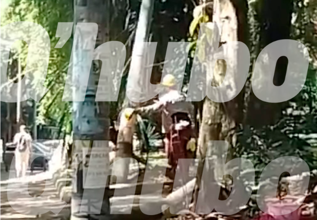 Este fue el momento en el cual retiraban uno de los postes. /FOTO: CORTESÍA.