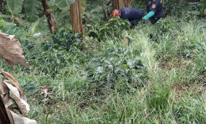 Levantamiento del cuerpo descompuesto en zona rural de Andes. FOTO: TOMADA DE CONEXIÓN SUR