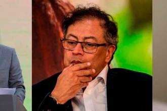 ¿Por qué tu gato no debería salir a la calle?