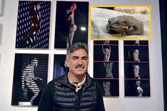 Este era José Luis Abad, el fallecido fotógrafo. En la imagen de detalle, un ejemplar del Bufo Alvarius, la especie de sapo que habría provocado su muerte al inhalar el veneno. FOTO: ARCHIVO