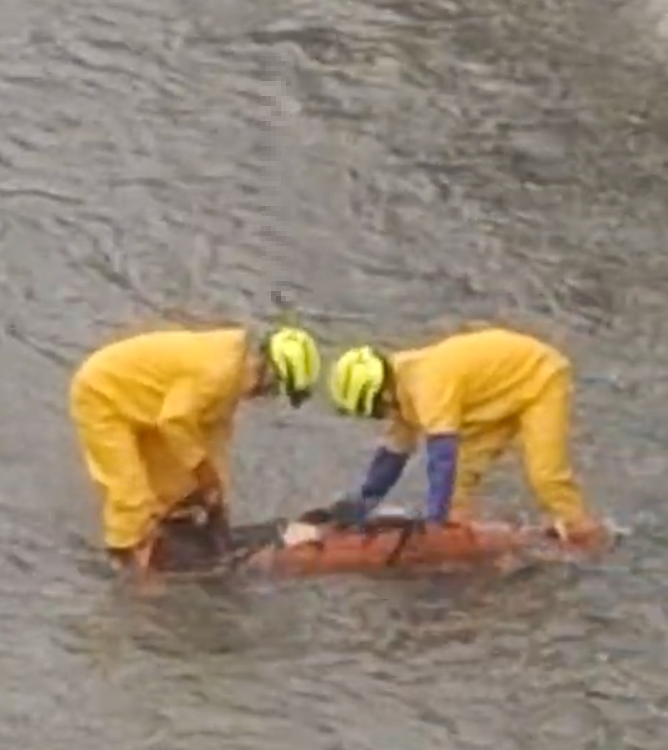 Momento en que los bomberos de Medellín recuperaron el cuerpo que estaba en el ´rio para entregarlo a los investigadores del CTI de la Fiscalía. FOTO: TOMA DE VIDEO