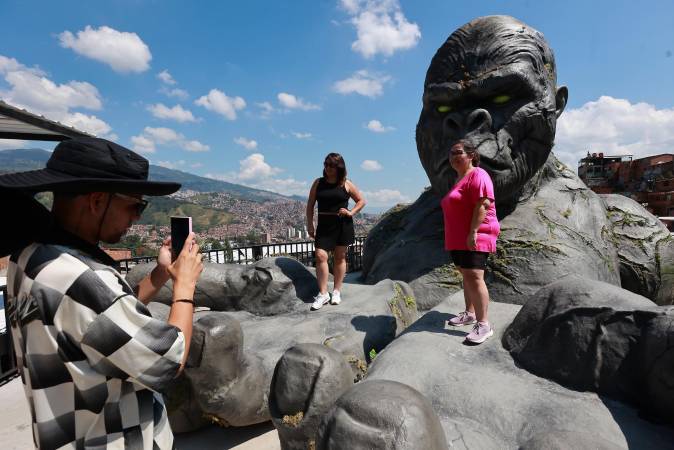 EN IMÁGENES: Ahora el parche en la 13 es posar con un gorila