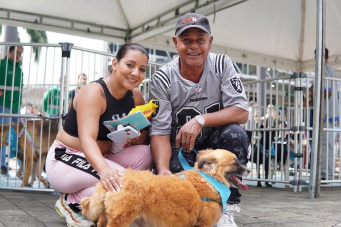 Jornada histórica de Adoptatón en Medellín. FOTO: ALCALDÍA DE MEDELLÍN