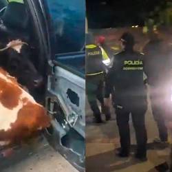 Ocurrió en las vías de Boyacá. FOTO: CAPTURAS DE VIDEO