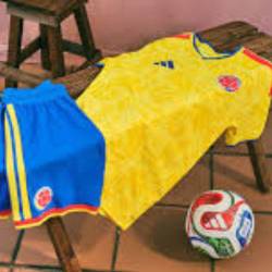 En 2 semanas sería presentado el uniforme oficial de la Selección Colombia para el Mundial. FOTO: FCF.