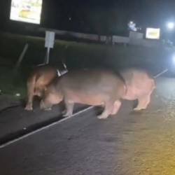 La situación ha generado preocupación. FOTO: COLOMBIA OSCURA