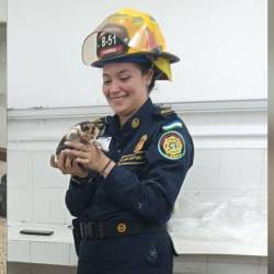 La gata llevaba tres días atrapada en el conducto. FOTOS: FACEBOOK BOMBEROS LA ESTRELLA
