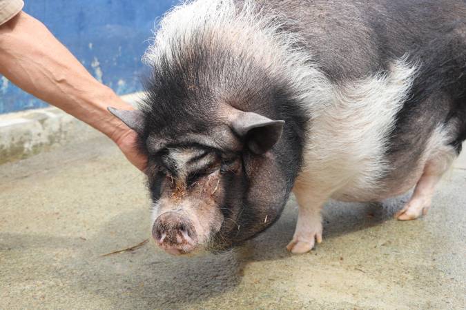 /FOTO: CORTESÍA ALCALDÍA DE MEDELLÍN