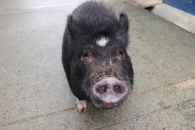 /FOTO: CORTESÍA ALCALDÍA DE MEDELLÍN