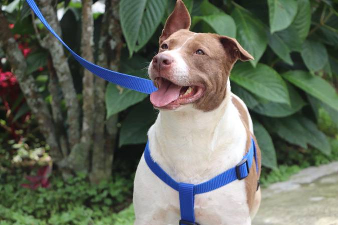 FOTO: ALCALDÍA DE MEDELLÍN