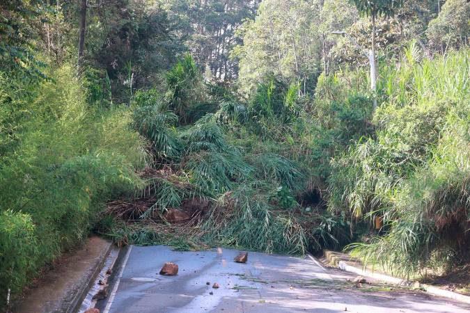 No quedó espacio ni para cruzar caminando. /FOTO: MANUEL SALDARRIAGA. 
