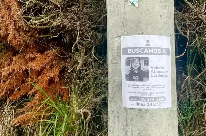 Carteles en búsqueda de la menor. /FOTO: REDES SOCIALES