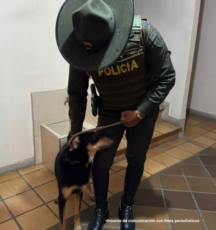 Ella es Zoe, la perrita rescatada. <b><span class=mln_small-caps_mln>/FOTO: CORTESÍA</span></b>