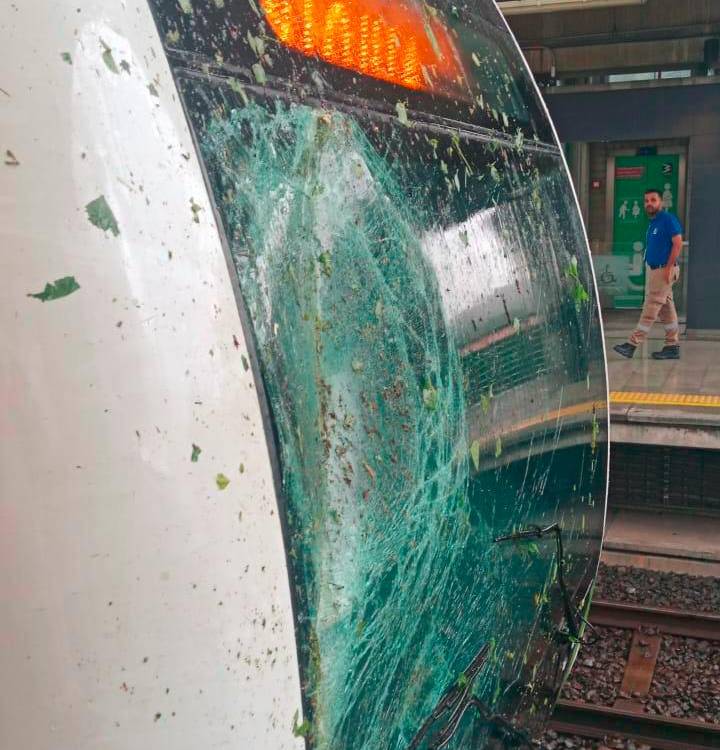 $!17 vacas murieron luego de ser impactadas por un rayo en San Antonio de Prado