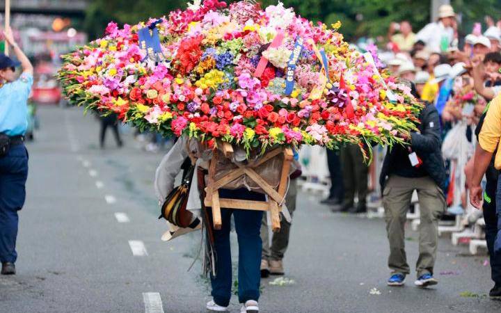 Estos son los diferentes tipos de silleta que participan en el Desfile de Silleteros