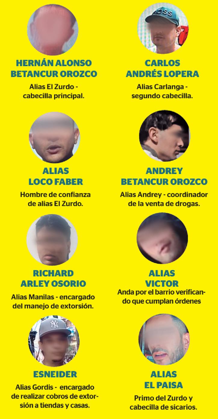 InfogrÃ¡fico