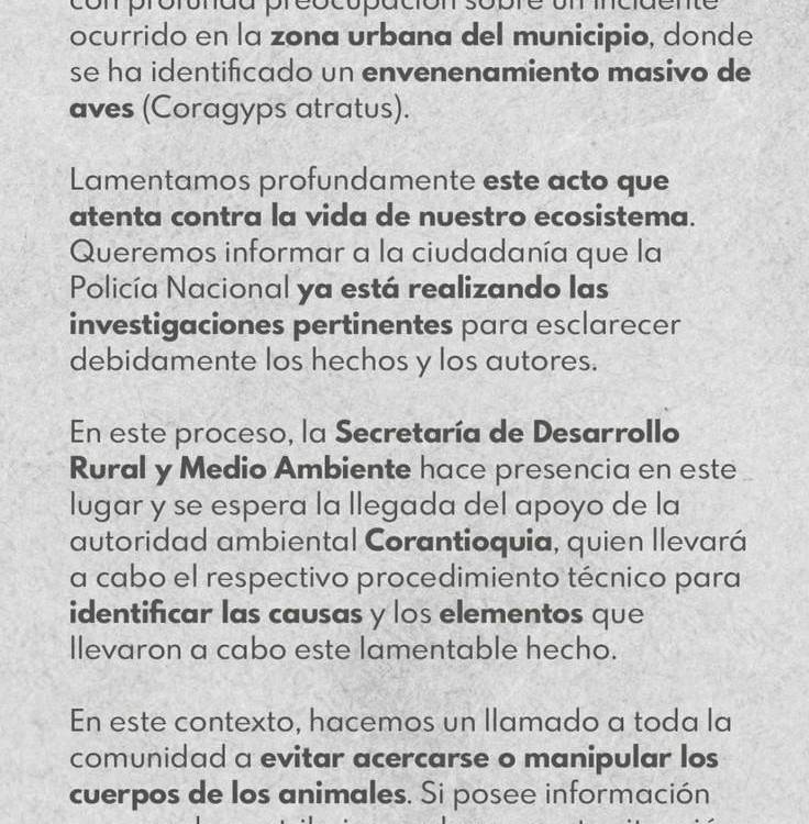 Comunicado de la Alcaldía de Yarumal sobre envenenamiento masivo de gallinazos. /FOTO: TOMADA DE INSTAGRAM @alcaldiadeyarumal