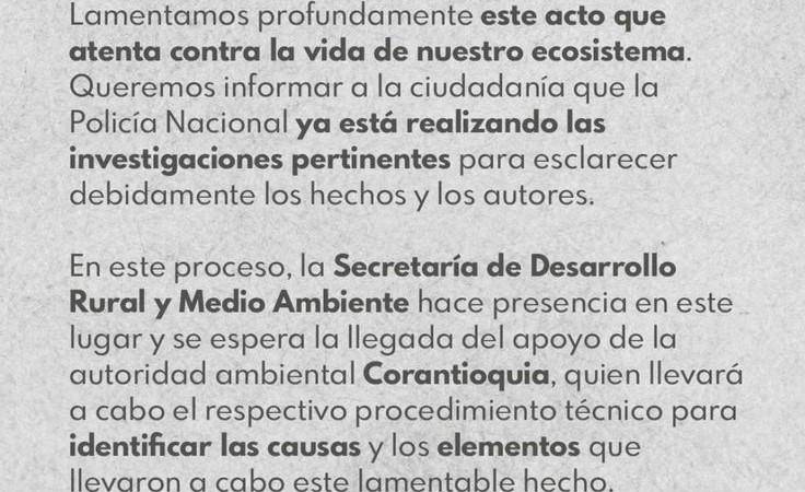 Comunicado de la Alcaldía de Yarumal sobre envenenamiento masivo de gallinazos. /FOTO: TOMADA DE INSTAGRAM @alcaldiadeyarumal