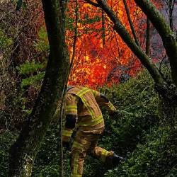 Imagen para ilustrar la nota. FOTO: ALCALDÍA DE ITAGÜÍ