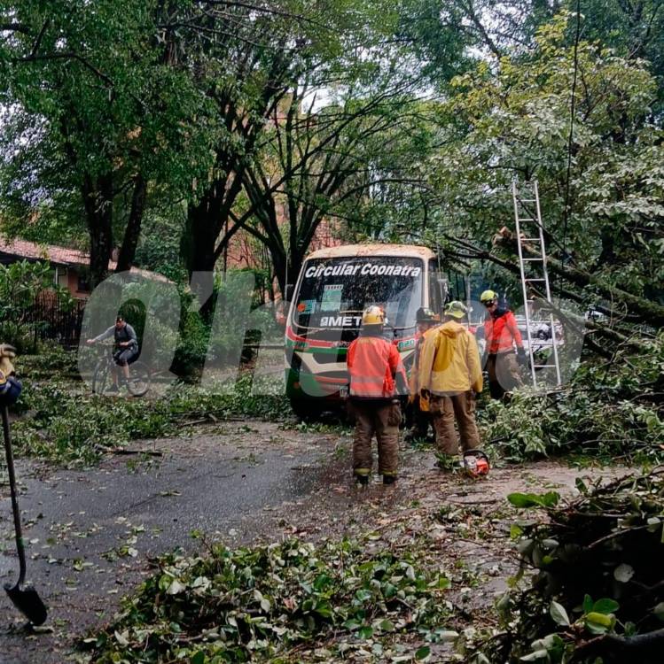 Tomás Ortega, conductor del bus al que le cayó un árbol encima en Belén, aseguró que solo fue el susto cuando cayó la rama y no hubo lesionados. /FOTO: JENNIFER VILLAFAÑE