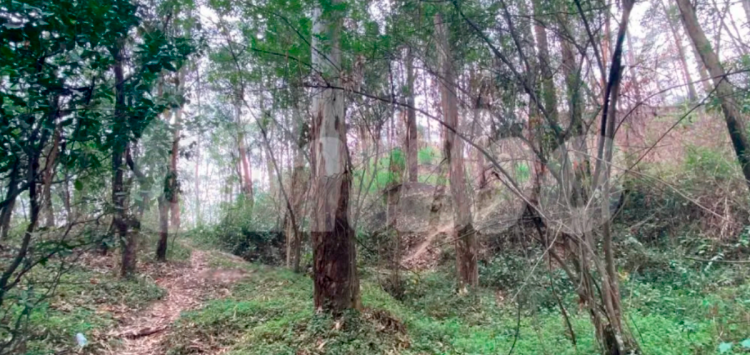 Hasta esta zona se amplió la búsqueda. / FOTO: ANDRÉS FELIPE OSORIO GRACÍA
