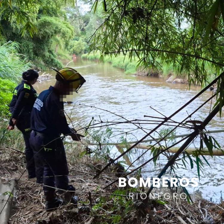 Hallan cuerpo sin vida en río de Rionegro. FOTO: BOMBEROS RIONEGRO
